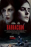 Barracuda